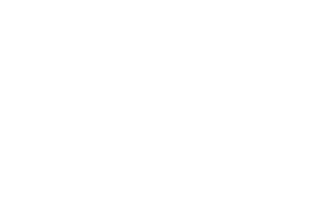 Hetronic battery